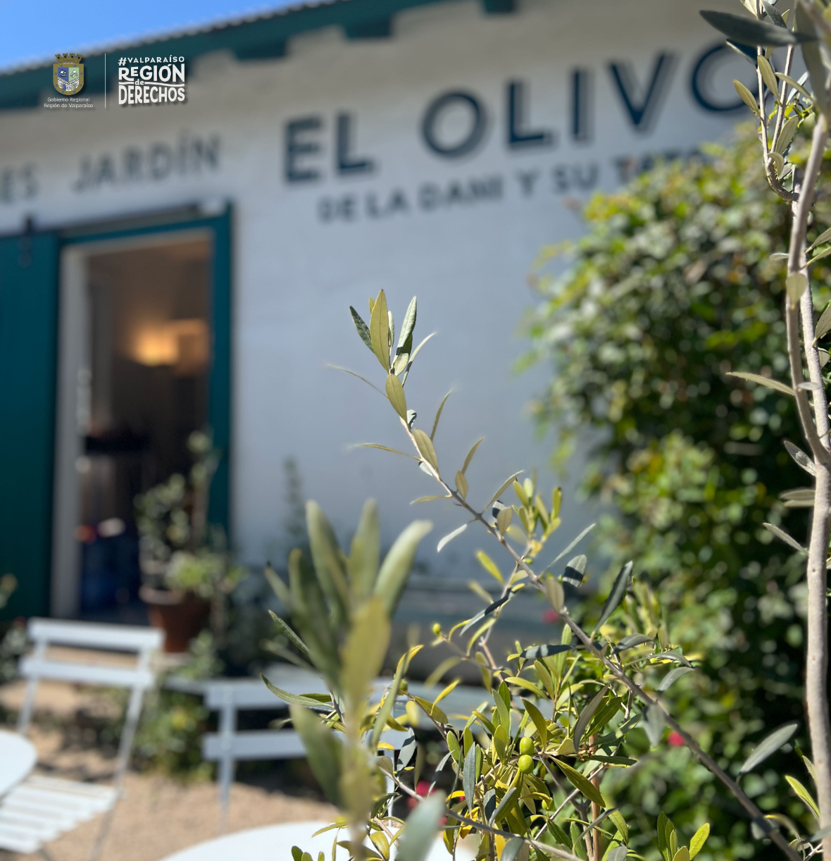 Un Emporio de Encanto y Tradición en Zapallar