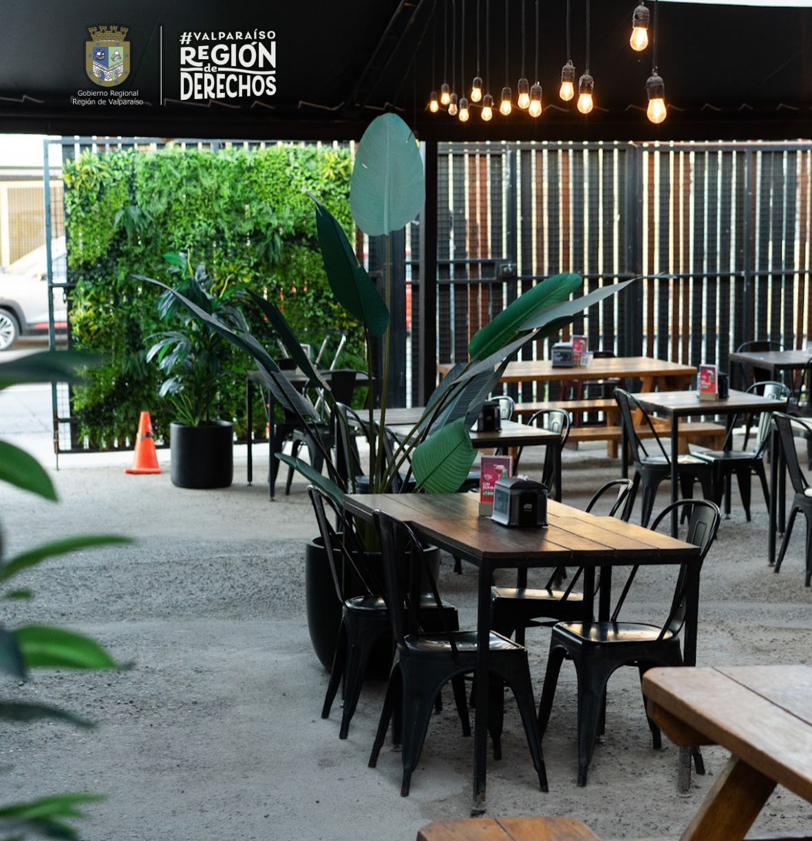 Sumérgete en una Experiencia Culinaria Única en «Boca Bar» de Concón