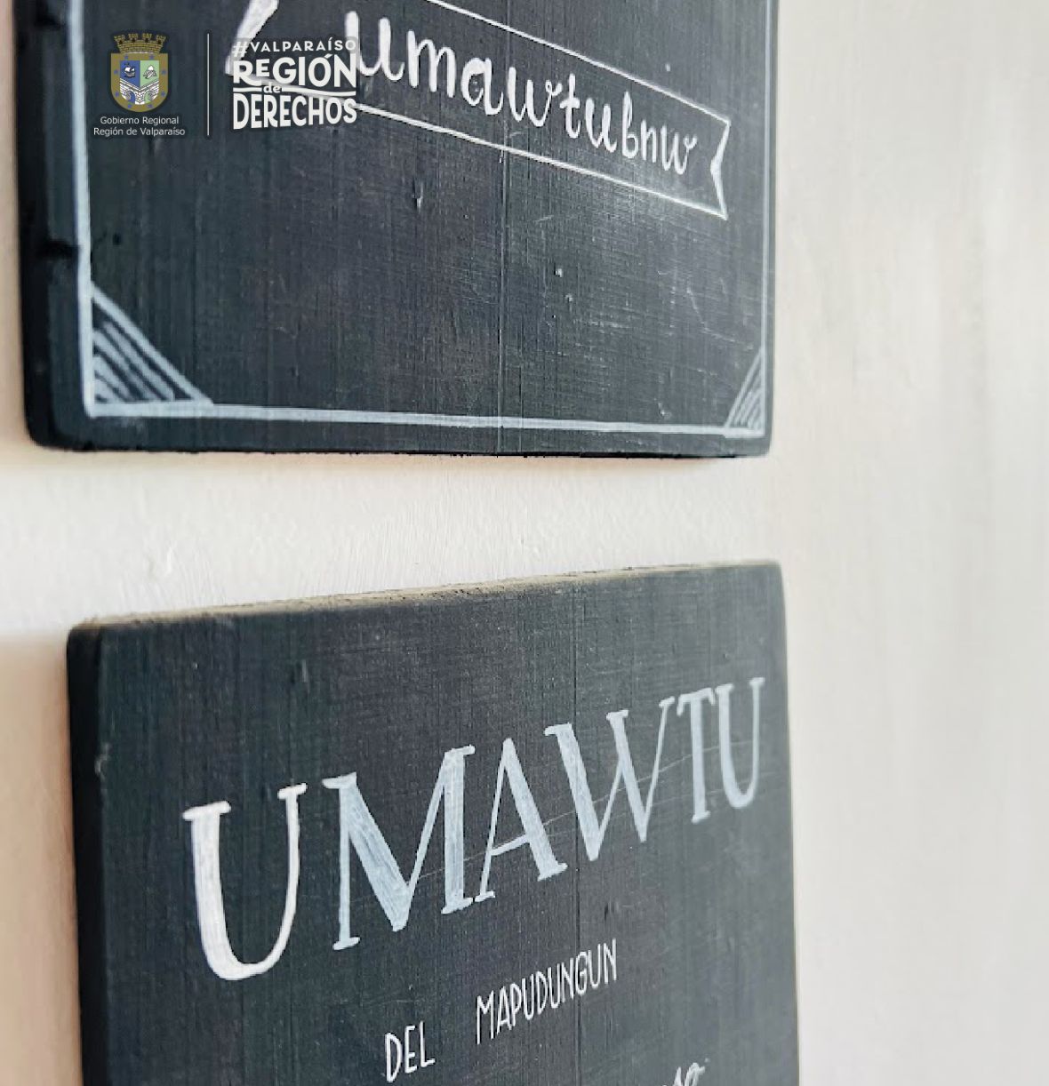 Umawtu Bed & Wine: Un Refugio de Tranquilidad en el Corazón del Valle de Casablanca